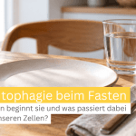 Autophagie beim Fasten: Wann beginnt sie und was passiert dabei in unseren Zellen?