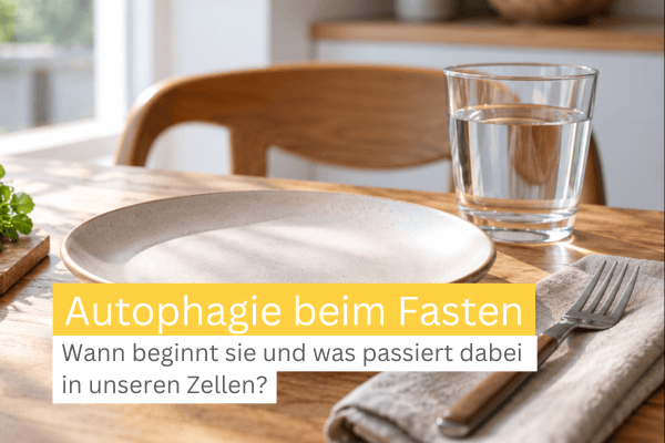 Autophagie beim Fasten Infos