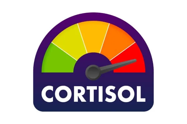 Cortisol-Tagesprofil messen