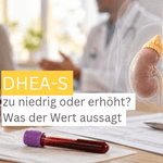 DHEA-S zu niedrig oder erhöht: Was sagt der Laborwert über die Nebenniere aus?