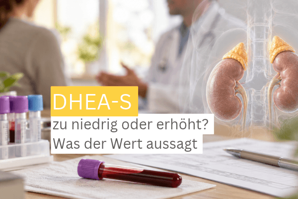 DHEA-S niedrig was heisst das