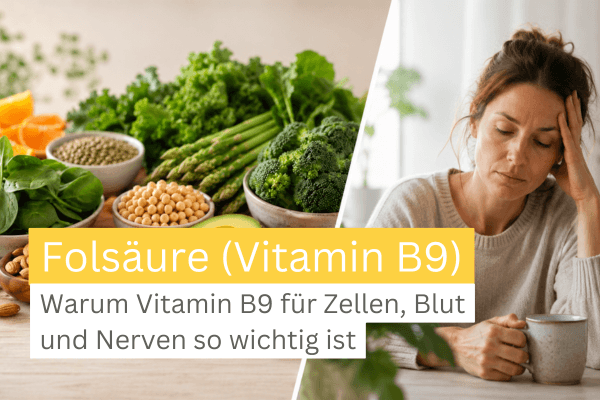 Folsäure Wirkung erklärt