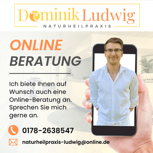 Heilpraktiker Online Beratung