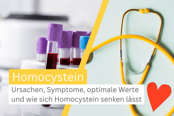 Homocystein Bedeutung Gesundheit