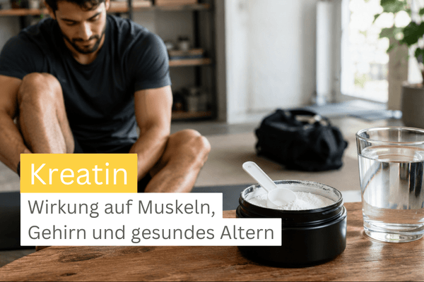Kreatin Wirkung