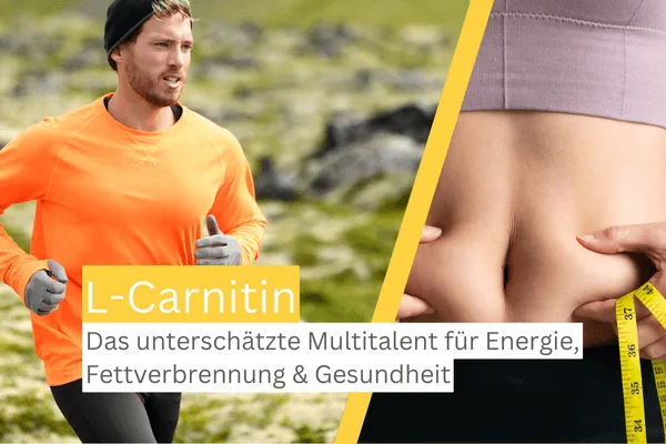 L-Carnitin Wirkung und Vorteile