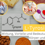 L-Tyrosin – Wirkung, Vorteile und Bedeutung für Körper und Geist (2025)