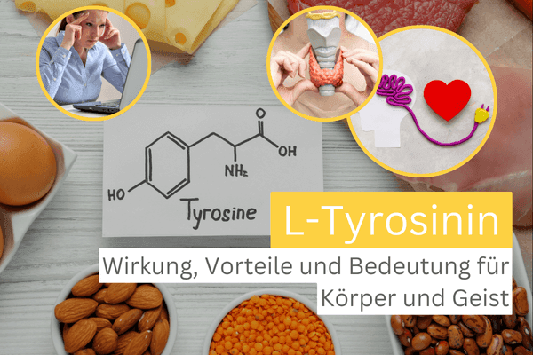 L-Tyrosin Wirkung