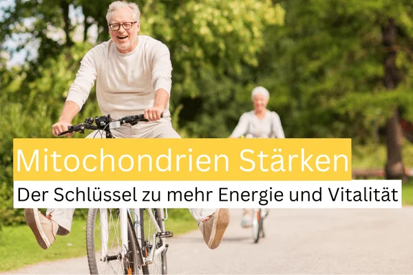 Mitochondrien stärken