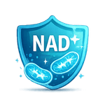 NAD-Infusion Witten