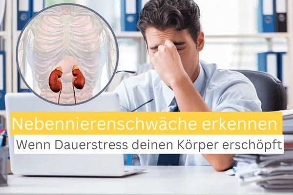 Nebennierenschwäche erkennen