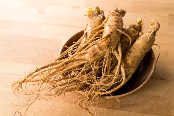 Ginseng Naturstoffe gegen Müdigkeit