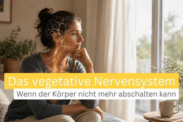 Das vegetative Nervensystem