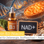 Vitamin B3 (Niacin) – Schlüssel für Zellenergie, Stoffwechsel und Regeneration