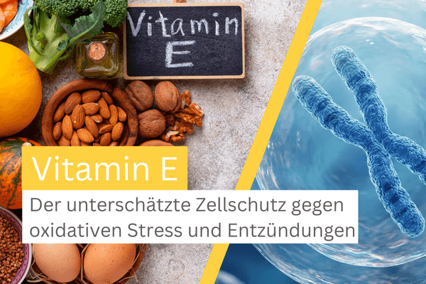 Vitamin E Wirkung