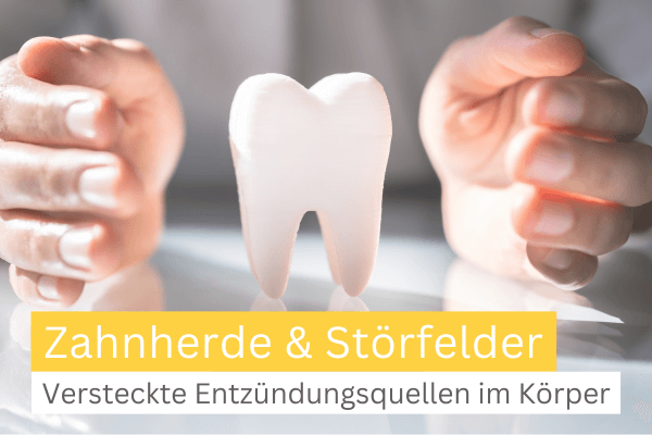 Zahnherde erkennen und behandeln